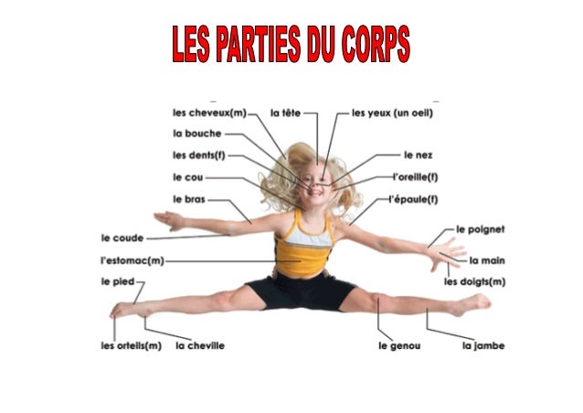 symptômes des maladies symptômes des maladies